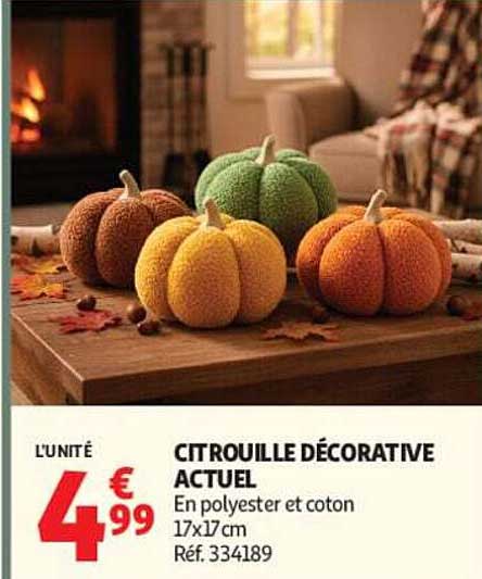 CITROUILLE DÉCORATIVE ACTUEL