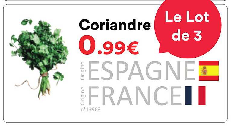Coriandre