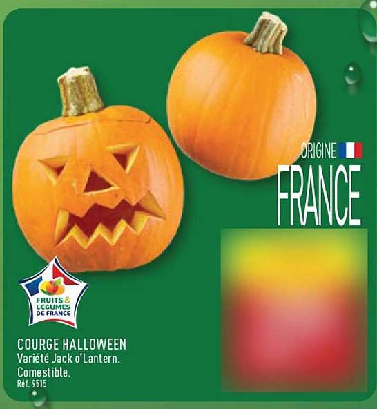 COURGE HALLOWEEN