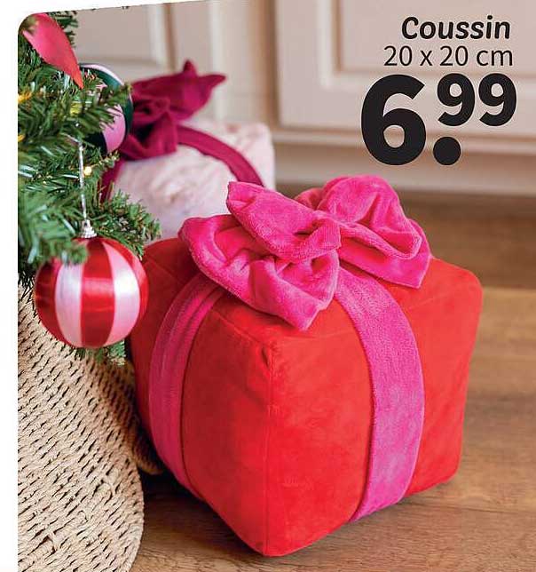 Coussin 20 x 20 cm