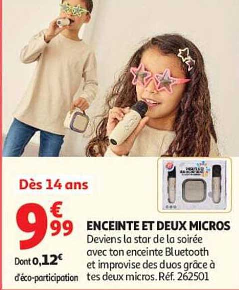 ENCEINTE ET DEUX MICROS