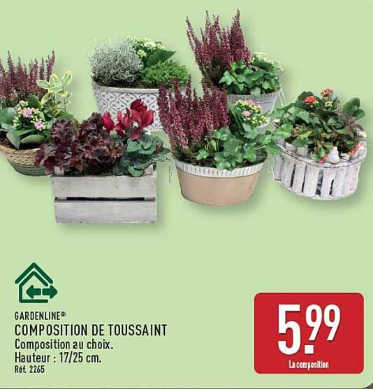 GARDENLINE COMPOSITION DE TOUSSAINT