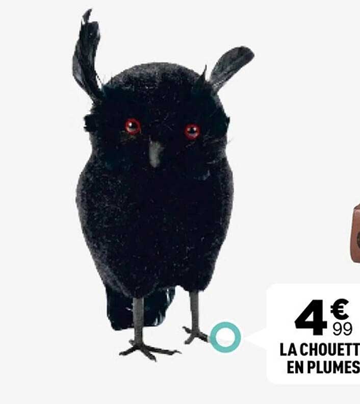 LA CHOUETTE EN PLUMES