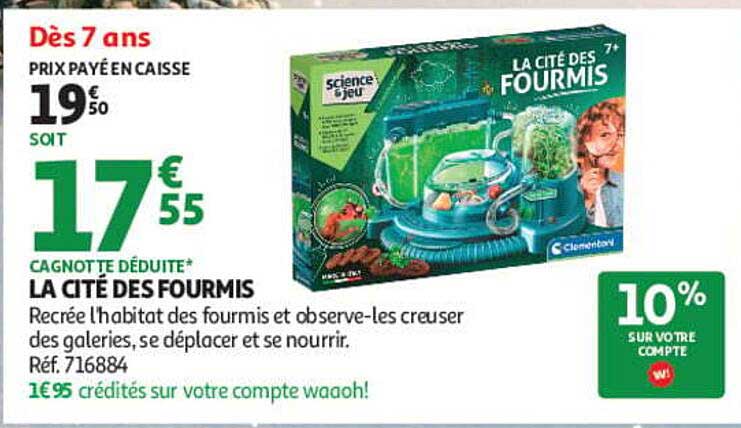 LA CITÉ DES FOURMIS
