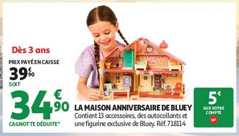 LA MAISON ANNIVERSAIRE DE BLUEY