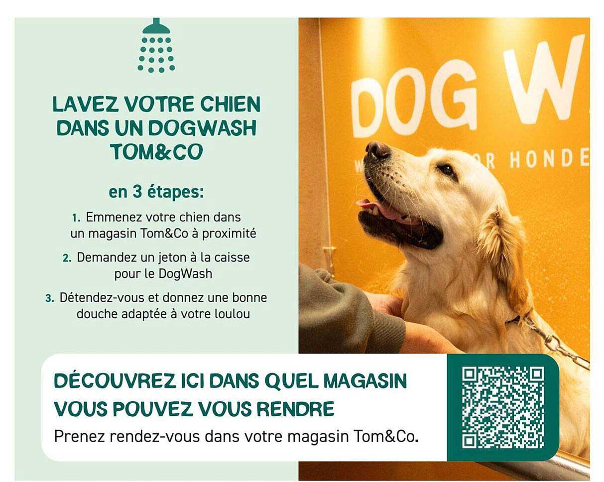 LAVEZ VOTRE CHIEN DANS UN DOGWASH TOM&CO