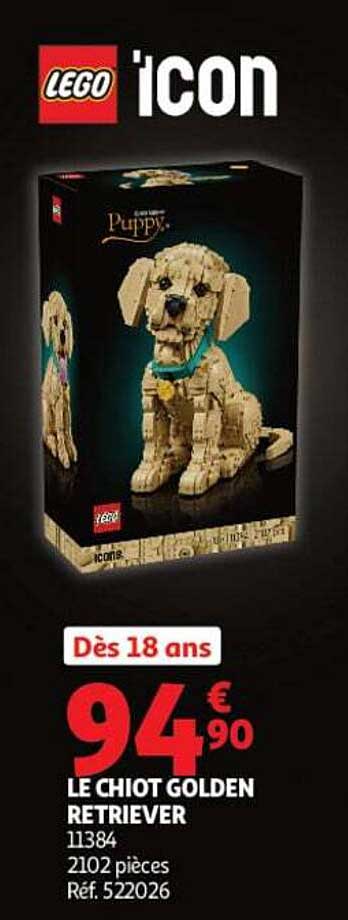 LE CHIOT GOLDEN RETRIEVER