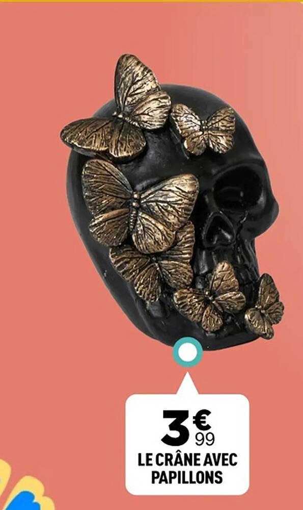 LE CRÂNE AVEC PAPILLONS