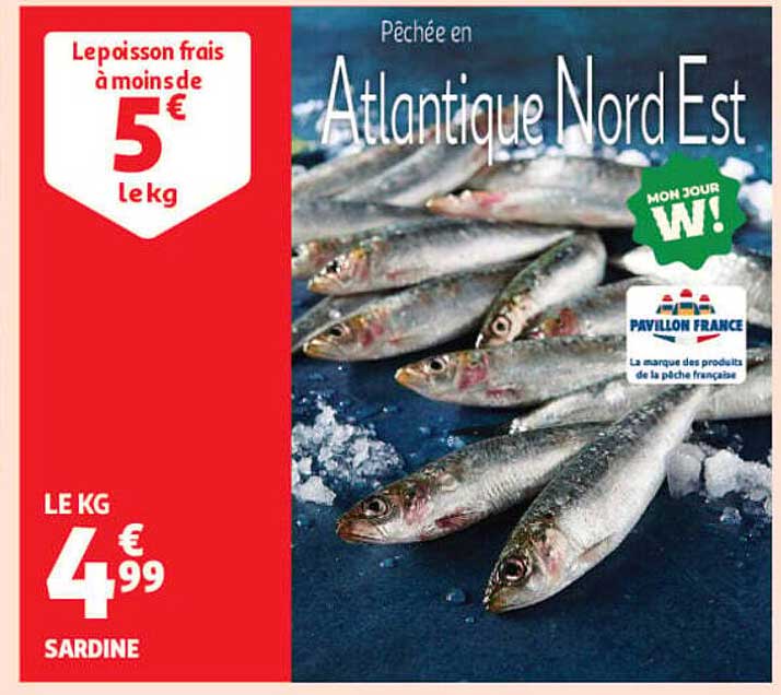 LE KG 4€99 SARDINE