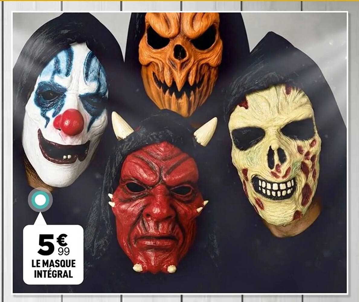 LE MASQUE INTÉGRAL