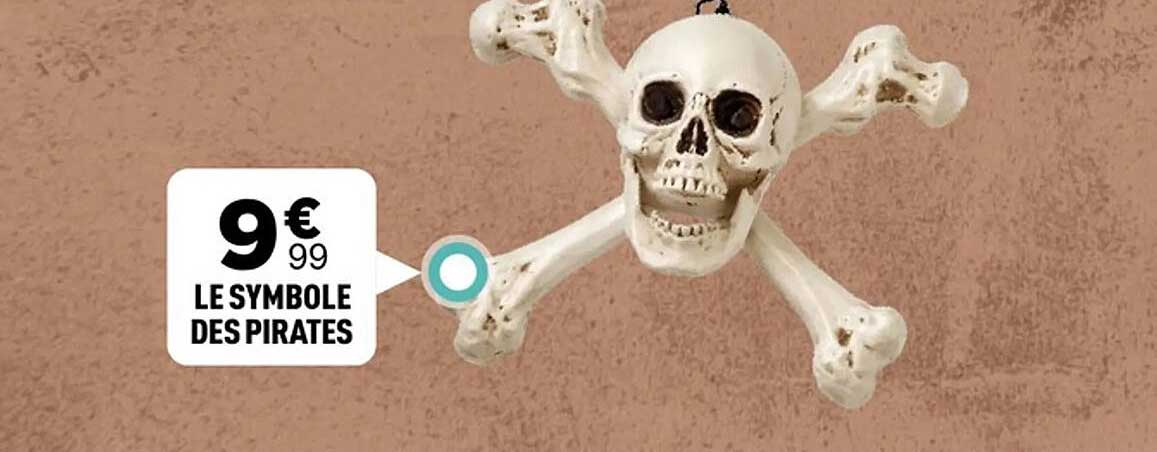 LE SYMBOLE DES PIRATES