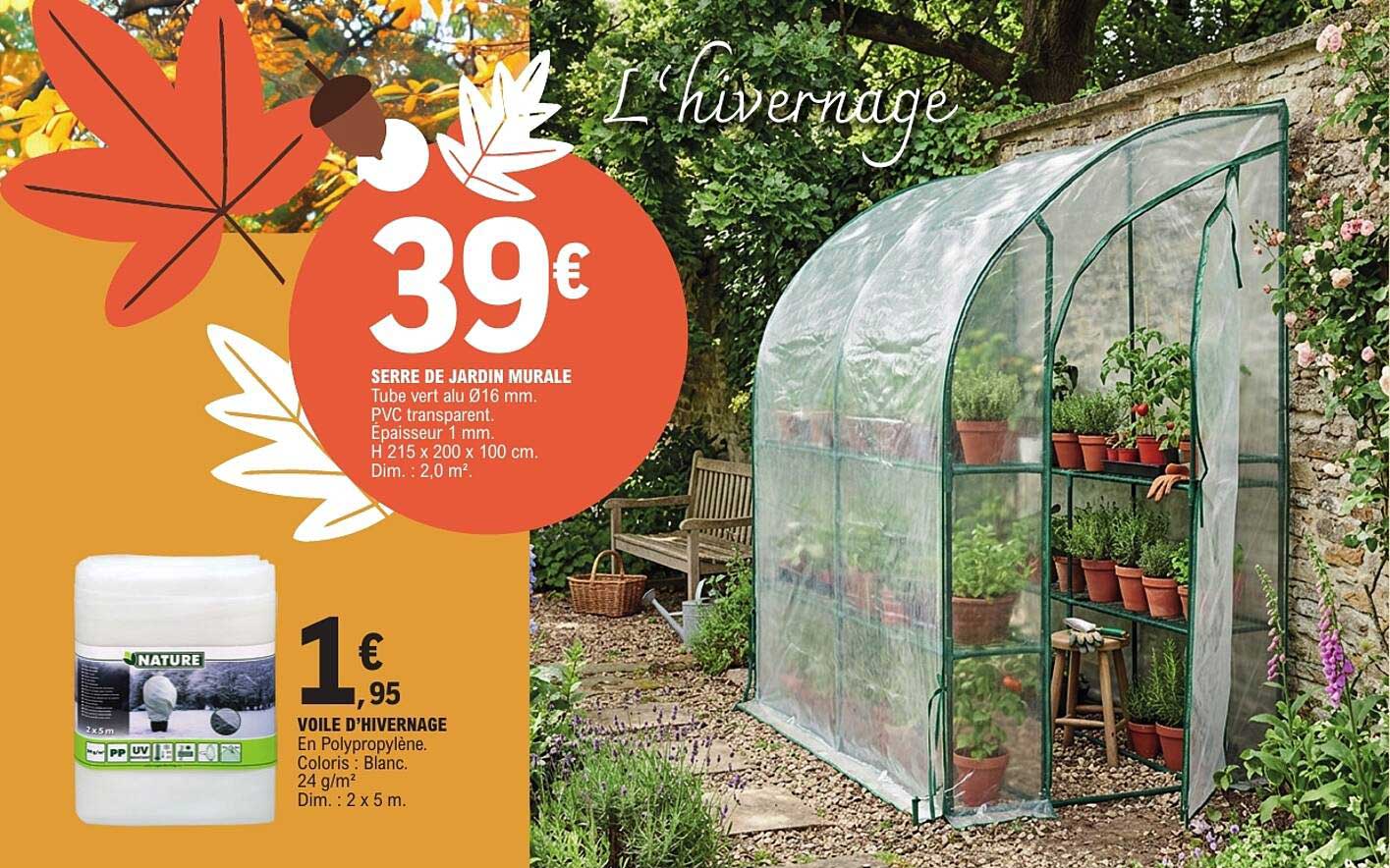 L'hivernage