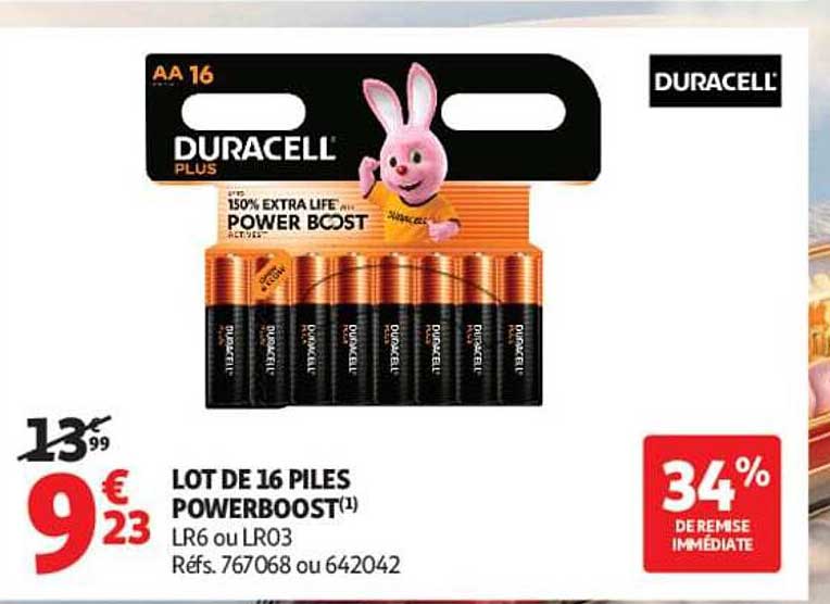 LOT DE 16 PILES POWERBOOST(1) LR6 ou LR03 Réfs. 767068 ou 642042