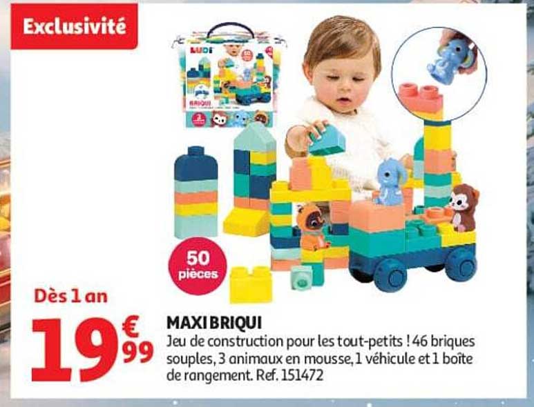 MAXI BRIQUI