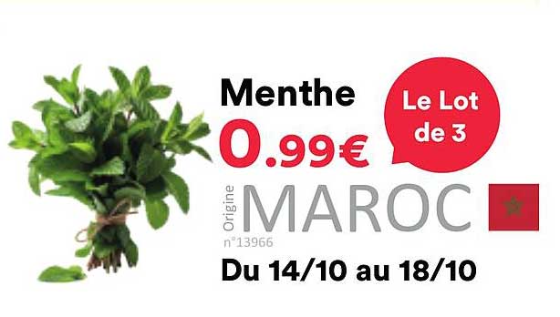 Menthe