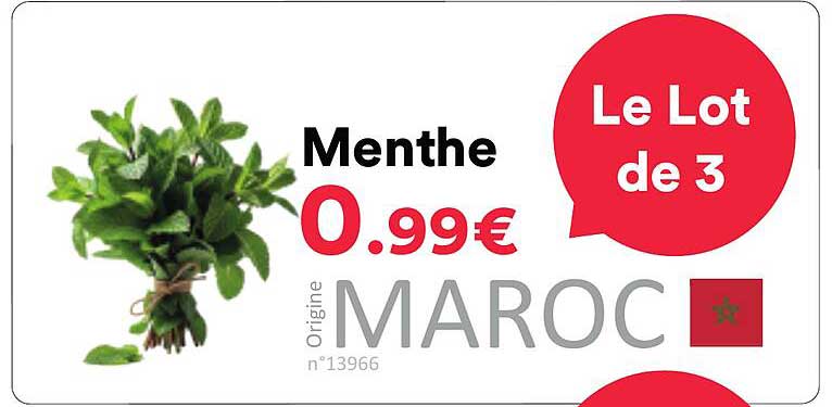 Menthe
