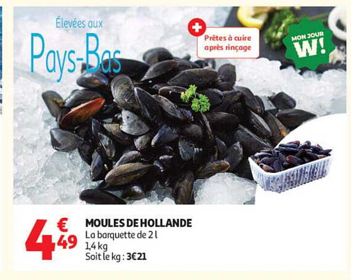 MOULES DE HOLLANDE