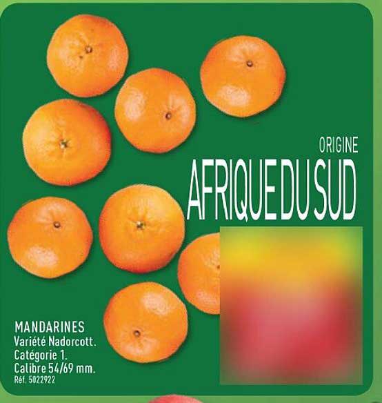 ORIGINE AFRIQUE DU SUD