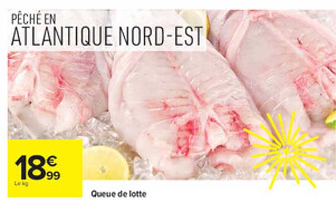 PÊCHÉ EN ATLANTIQUE NORD-EST