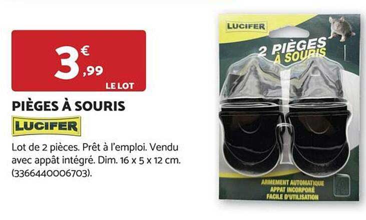 PIÈGES À SOURIS