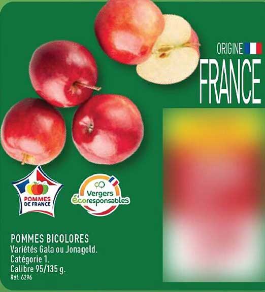 POMMES BICOLORES