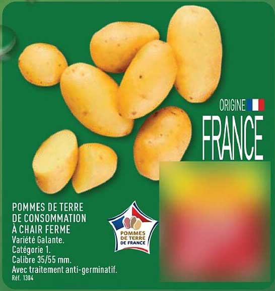 POMMES DE TERRE DE CONSOMMATION À CHAIR FERME