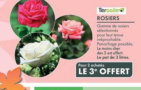 Pour 2 achetés LE 3e OFFERT