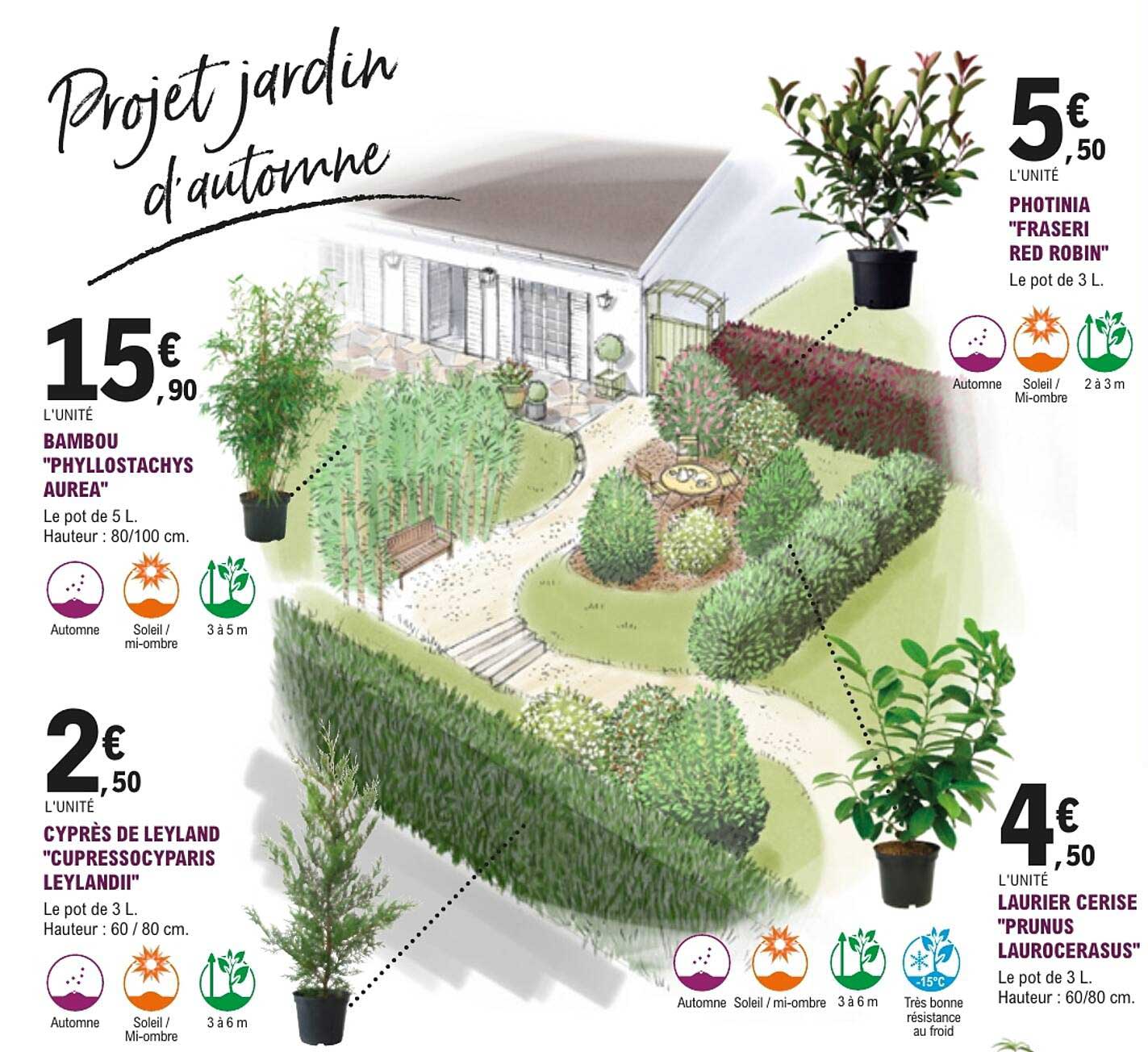 Projet jardin d'automne