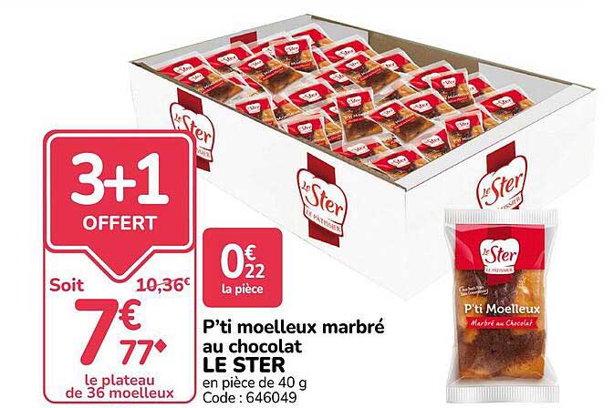 P’ti moelleux marbré au chocolat LE STER