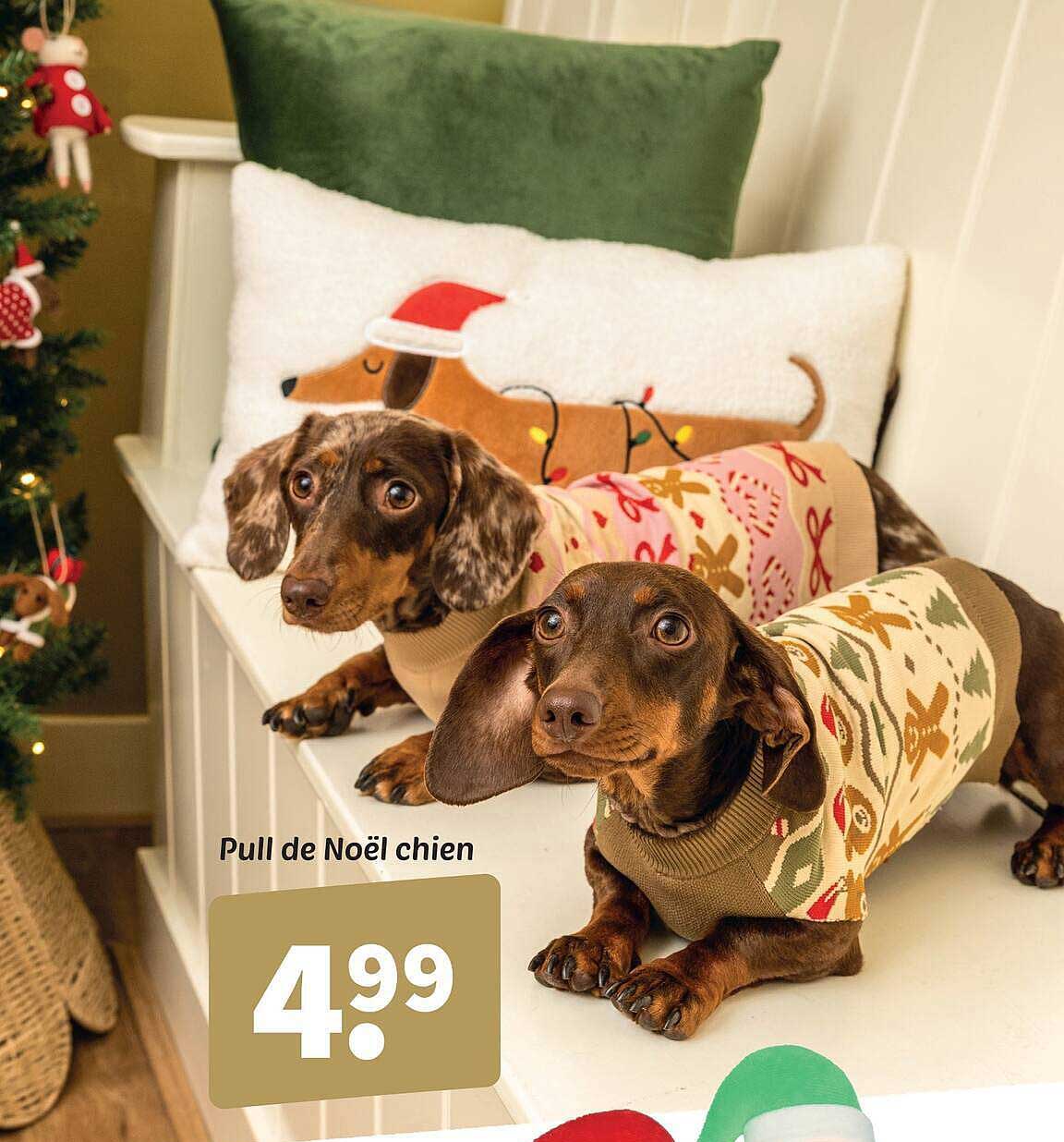 Pull de Noël chien