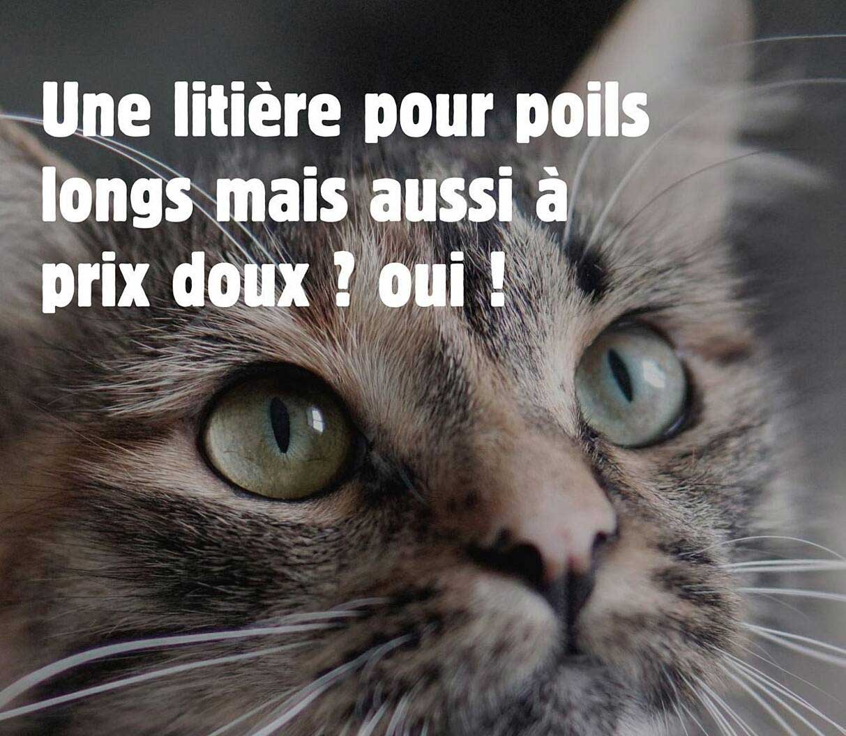 Une litière pour poils longs mais aussi à prix doux ? oui !