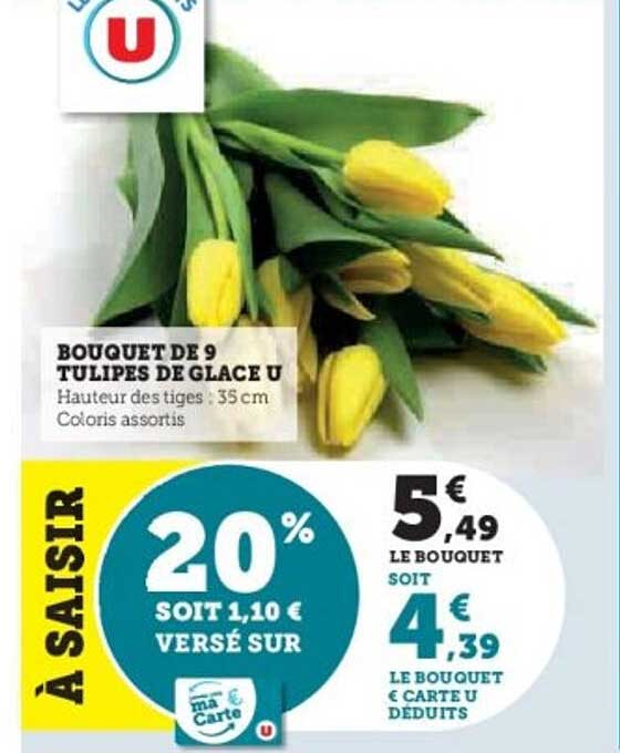 BOUQUET DE 9 TULIPES DE GLACE U
