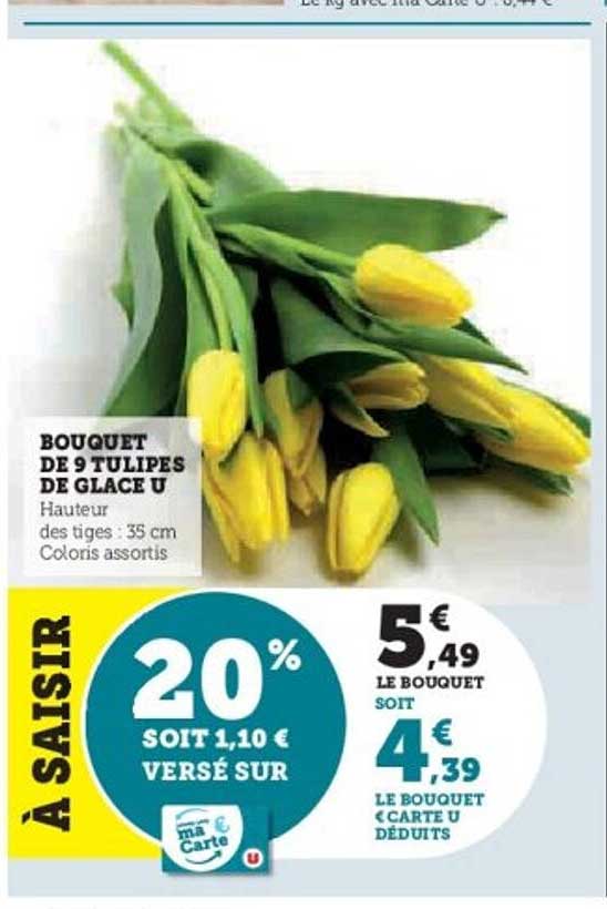 BOUQUET DE 9 TULIPES DE GLACE U