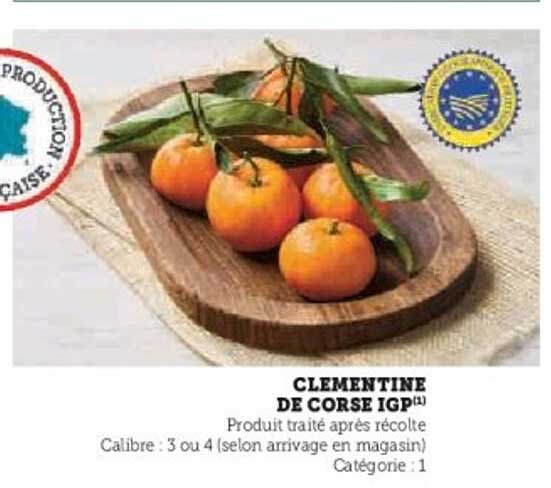 CLEMENTINE DE CORSE IGP