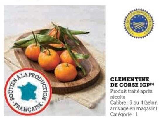 CLEMENTINE DE CORSE IGP