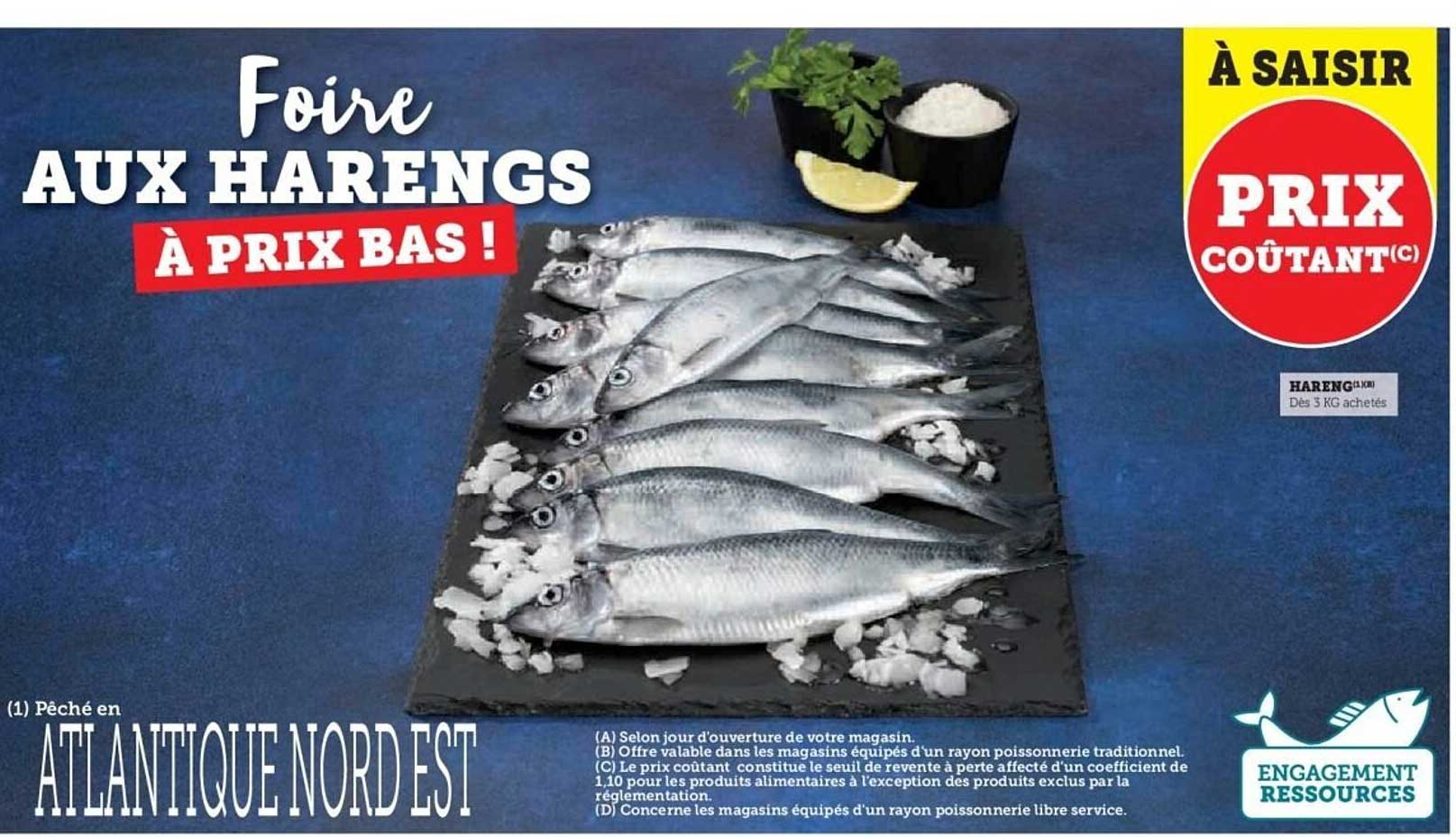 Foire AUX HARENGS À PRIX BAS !