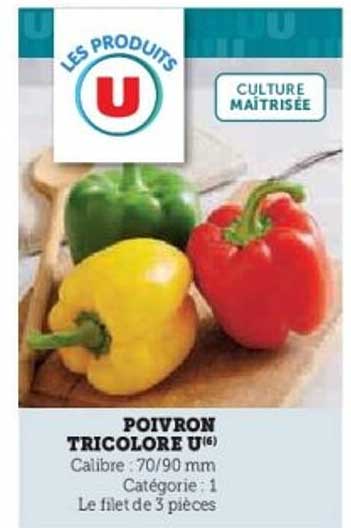 POIVRON TRICOLOR U