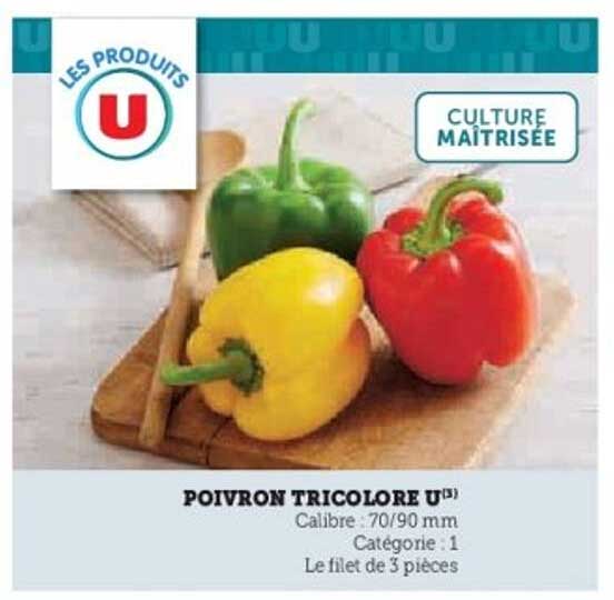 POIVRON TRICOLORE U