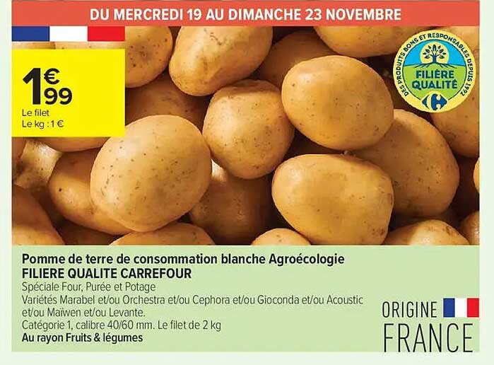 Pomme de terre de consommation blanche Agroécologie