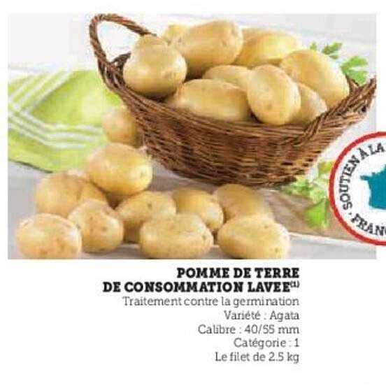 POMME DE TERRE DE CONSOMMATION LAVÉE