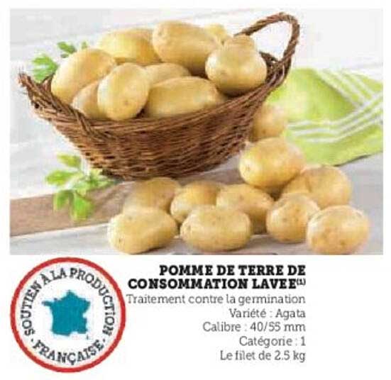 POMME DE TERRE DE CONSOMMATION LAVÉE