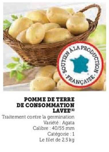 POMME DE TERRE DE CONSOMMATION LAVÉE