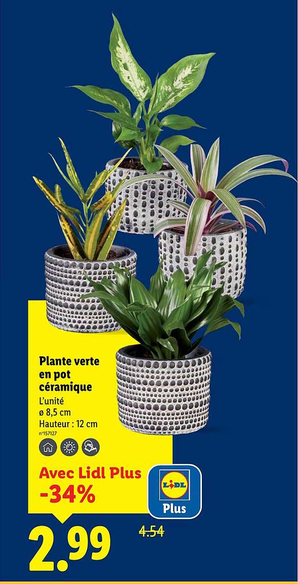 Sitemapcdatahttpsmodeinf Inetcombananier En Pot Lidl