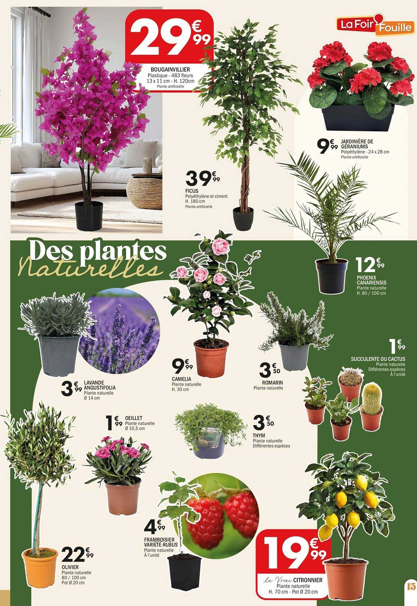 Fleurs Sches La Foirfouillenull
