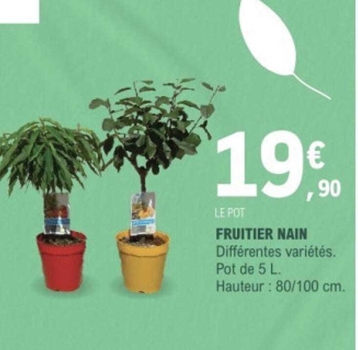 Nain Publicitaire Original Du Magasin ACTION, 27 Cm, état Collection