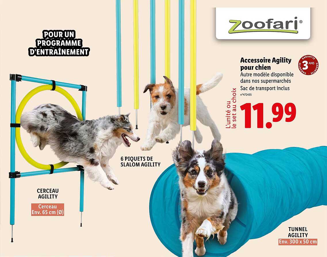 Accessoire Agility pour chien