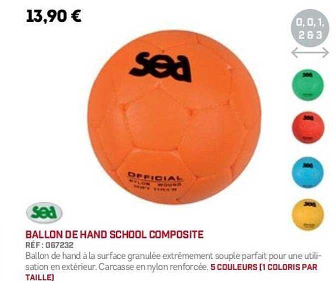 BALLON DE HAND SCHOOL COMPOSITE