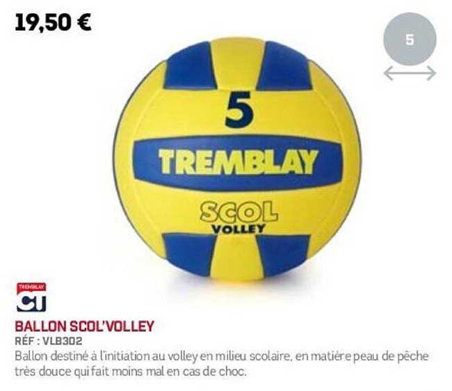 BALLON SCOL'VOLLEY