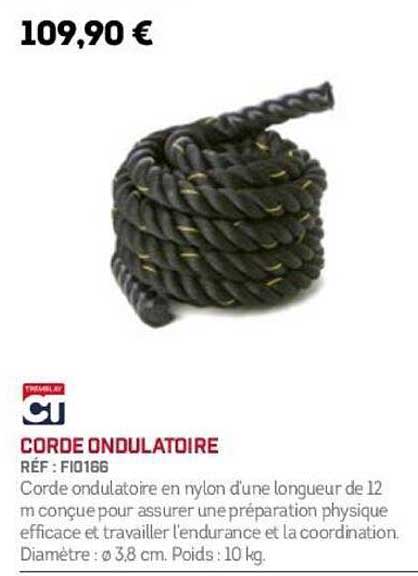 Corde Ondulatoire