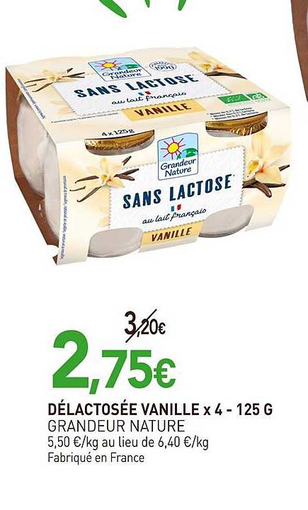 DÉLACTOSÉE VANILLE x 4 - 125 G